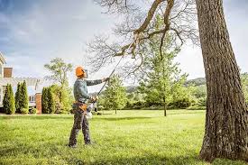 Seasonal Cleanup (Spring/Fall) in Jefferson Valley Yorktown, NY